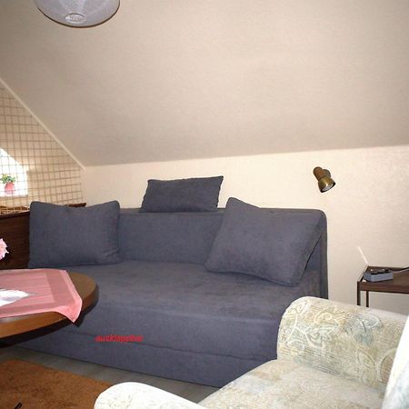 Birkenstuebchen Apartamento Lautenthal Exterior foto