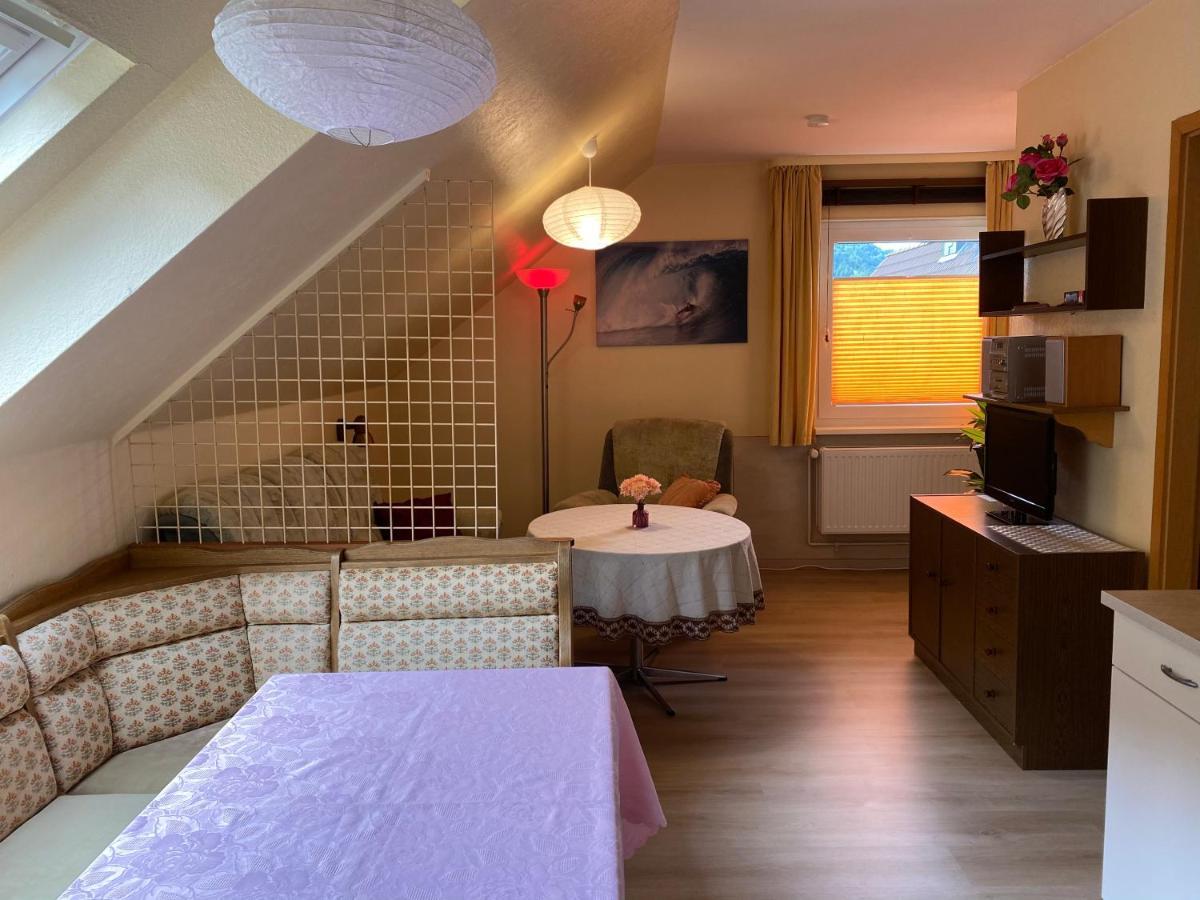 Birkenstuebchen Apartamento Lautenthal Exterior foto