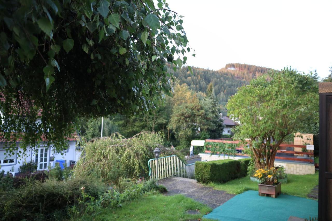 Birkenstuebchen Apartamento Lautenthal Exterior foto