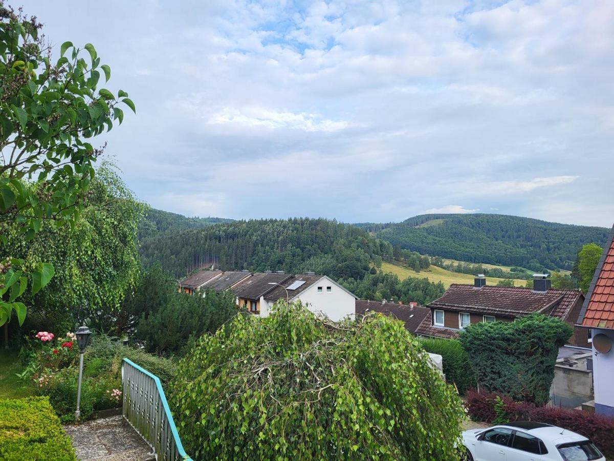 Birkenstuebchen Apartamento Lautenthal Exterior foto