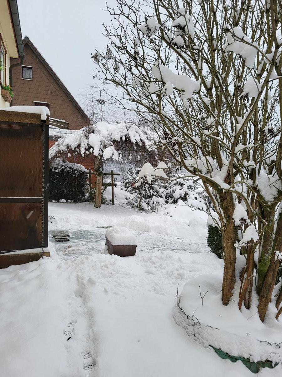 Birkenstuebchen Apartamento Lautenthal Exterior foto