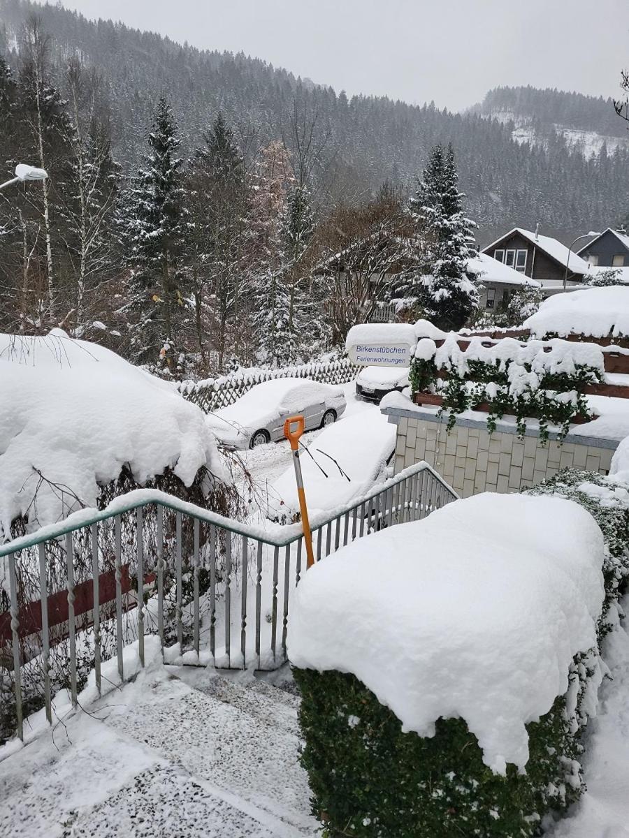 Birkenstuebchen Apartamento Lautenthal Exterior foto